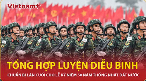 Tin tức 6