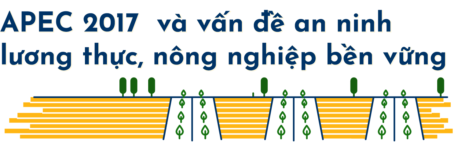 Nông nghiệp bền vững và an ninh lương thực – Trọng tâm ưu tiên
hợp tác của APEC