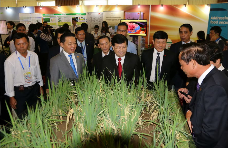 Nông nghiệp bền vững và an ninh lương thực – Trọng tâm ưu tiên
hợp tác của APEC